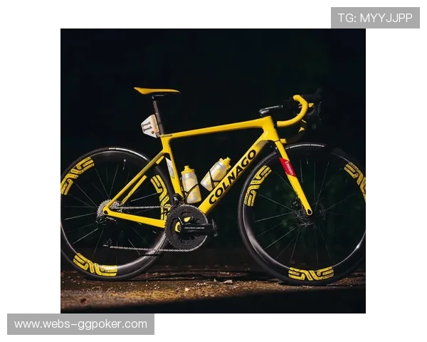 环法自行车赛:波加查爬坡能力的数据化解读